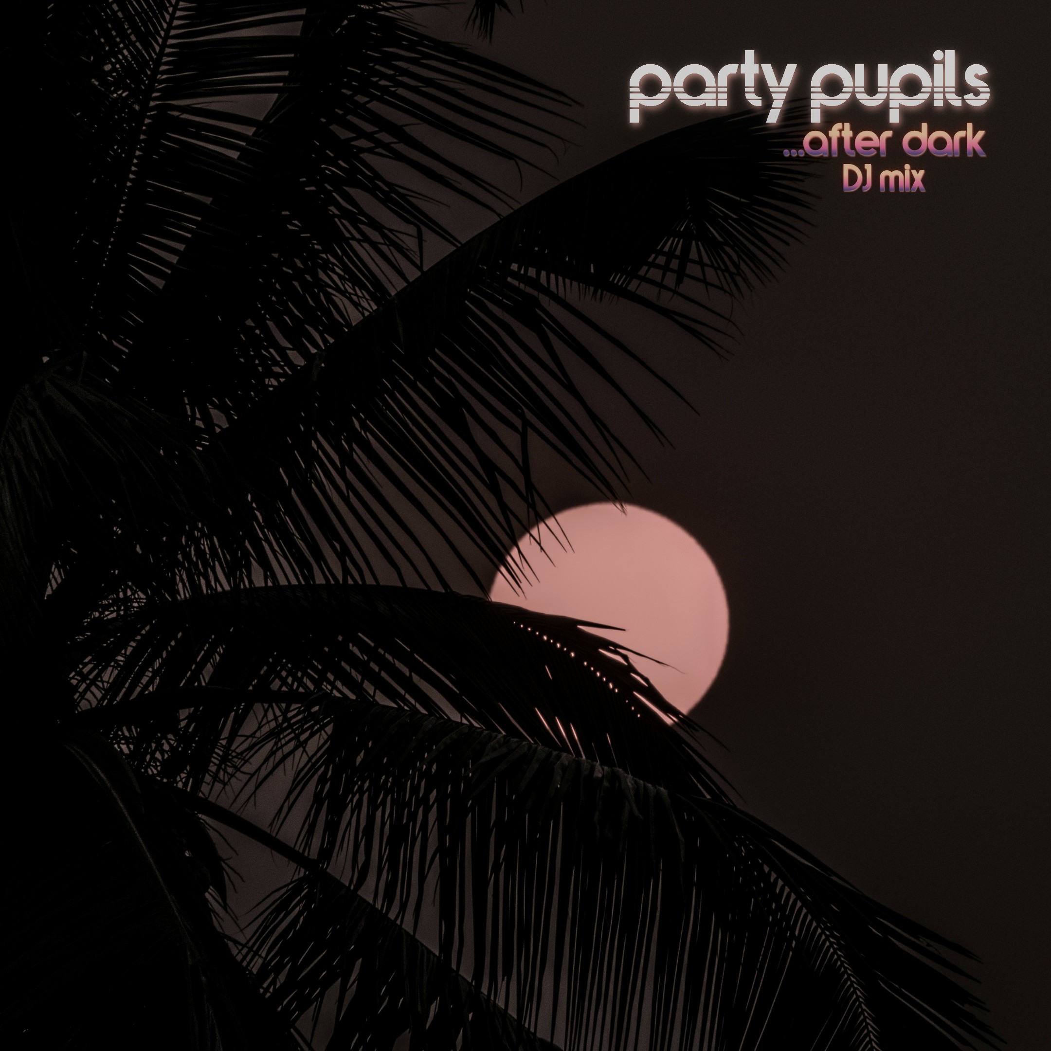 ...After Dark (DJ Mix)